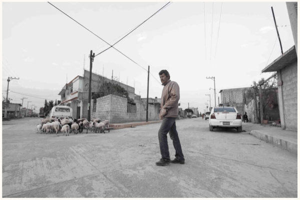 Don Refugio en Golondrinas. Foto de León Muñoz.